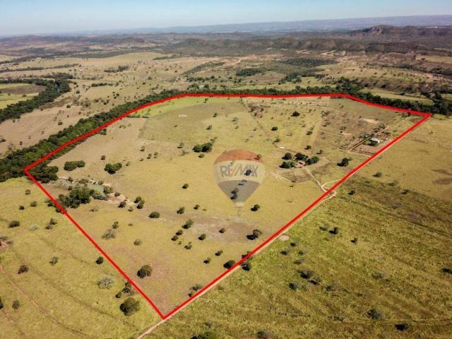 4 chácaras de 4 de hectares à venda por de r$ 320.000,00 cada em unaí/mg - Foto 2