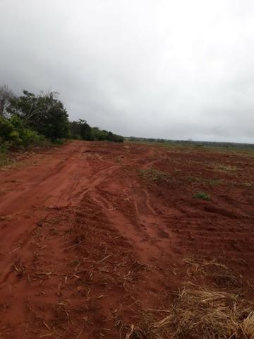 Fazenda de 900 Hectares ?Nova Maringá-MT, Troca imóveis em Campo Novo, Tangara - Foto 2