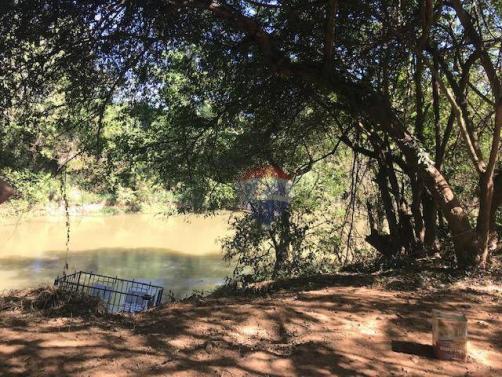 4 chácaras de 4 de hectares à venda por de r$ 320.000,00 cada em unaí/mg - Foto 5