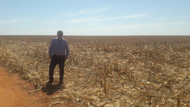 Troco Paraná, 900,00 Hectares-MT, aceita-se imóveis Paraná - Foto 4