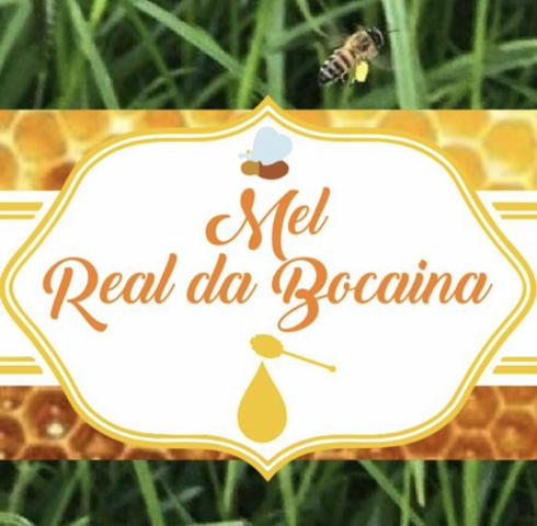 Mel puro real da bocaina - Foto 3
