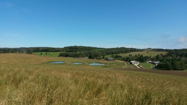 Ref. 735 - Fazenda de 60 Alqueires, 40 alqueires de planta, 15 alqueires de pasto - Foto 19