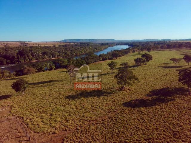 Fazenda 22 Alqueires (106 hectares) Nova Xavantina-MT - Foto 15