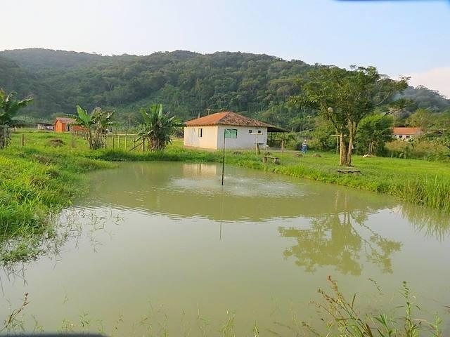 Chácara área de 3.900 m² Paraná, Guaratuba - Foto 4