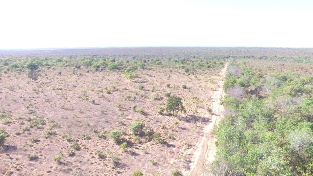 Fazenda em "fortaleza do nogueira"