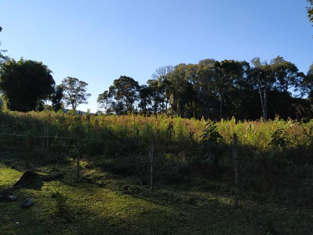 Linda Chacara de 15 hectares venda ou troca por casa em Guarapuava - Foto 5