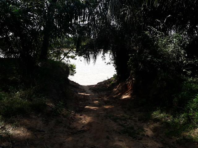 Mini Chácara na beira do Rio Araguaia - Foto 4