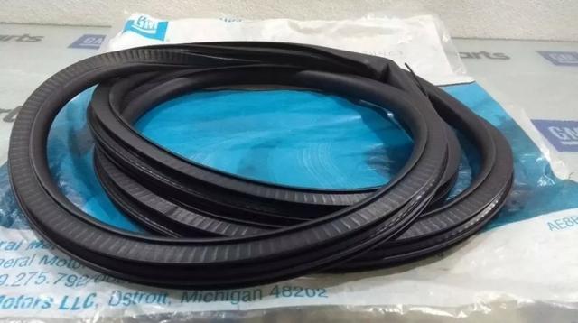 Borracha Porta Dianteira Ld Cruze Hatch 12/13 Original Gm *