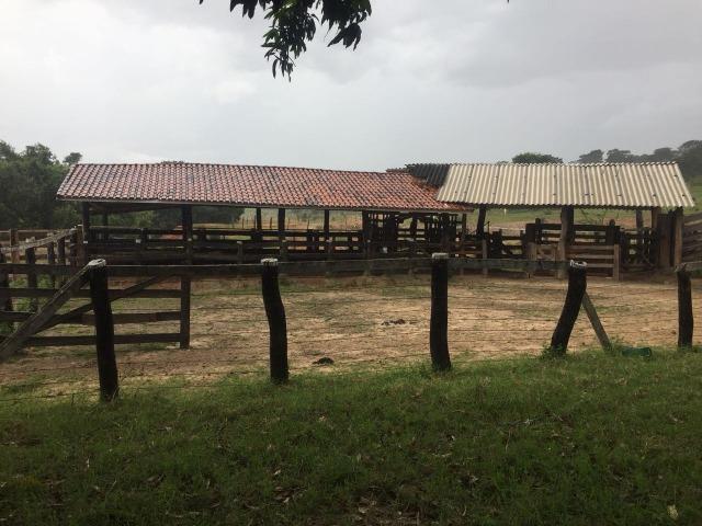 Fazenda 700 alqueires em Figueirão/MS - Foto 7
