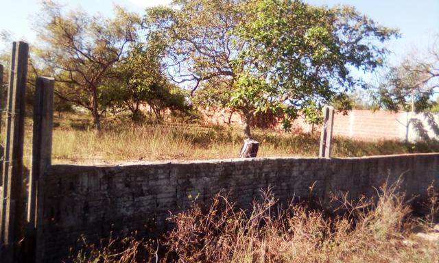 Terreno em Pium - Foto 4