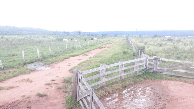 Fazenda 14.364 hectares em Alta Floresta-MT - Foto 2