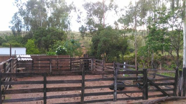 Vende-se Sítio no município de Lagamar 56 Hectares - Foto 12