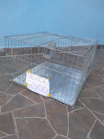 Gaiola - Foto 4