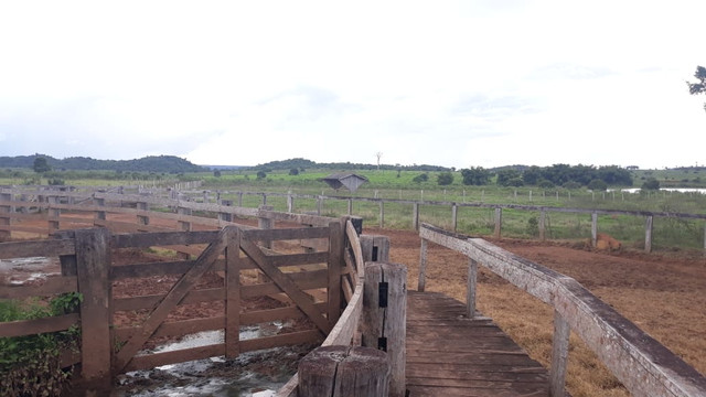 Fazenda 14.364 hectares em Alta Floresta-MT - Foto 8