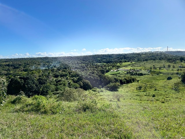 1 hectares de terra limpa em conde litoral sul da Paraíba  - Foto 3