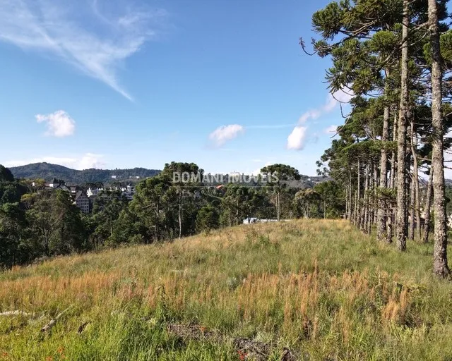 Terreno à Venda em Condomínio Fechado, Região de Capivari - Campos do Jordão/SP