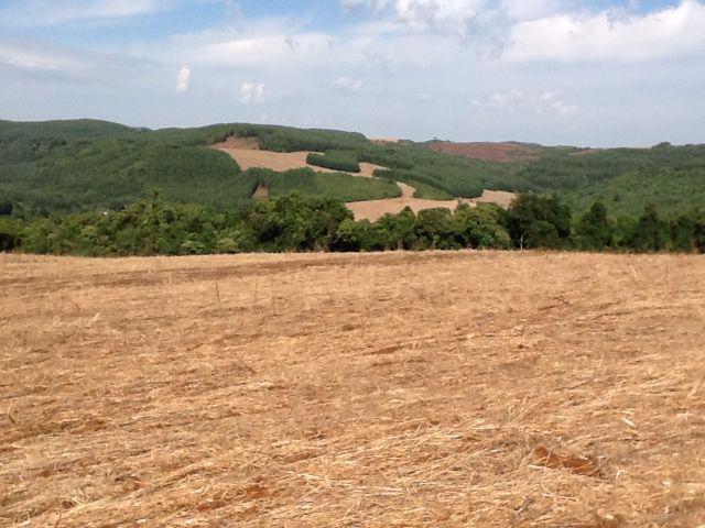 Fazenda de 68 Alqueires . 44 alqueires Mecanizados .Mil Sacas de Soja por Alqueire - Foto 5