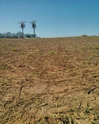 Terreno à venda em Zona rural, Cosmopolis cod:AR004467 - Foto 3