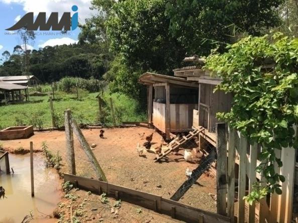 Sítio em piçarras - Foto 2