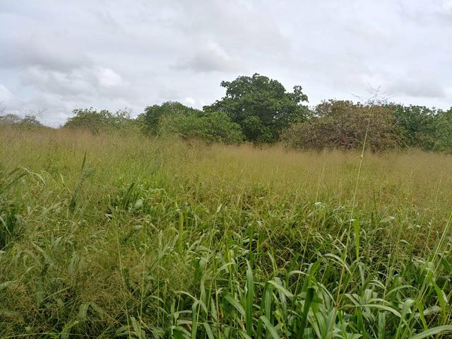 Granja com 8.8 hectares próximo da reta tabajara