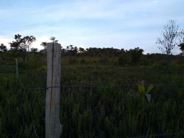 Terreno em Trancoso e Itaipu de dentro - Foto 6