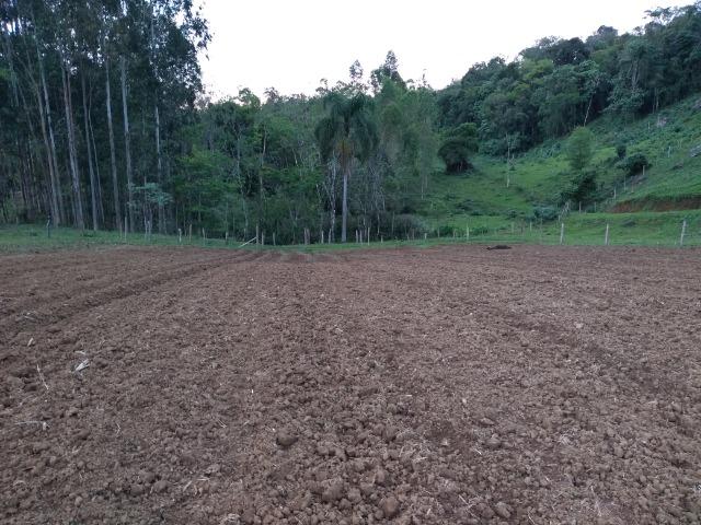Sitio Palmital Taió-SC 4 hectares - Foto 4