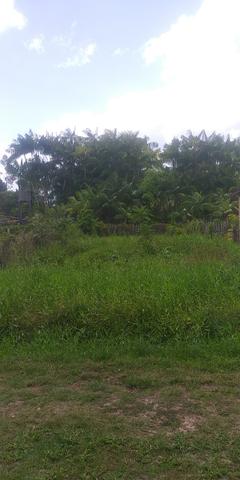 Terreno na Baia do Sol - Foto 4