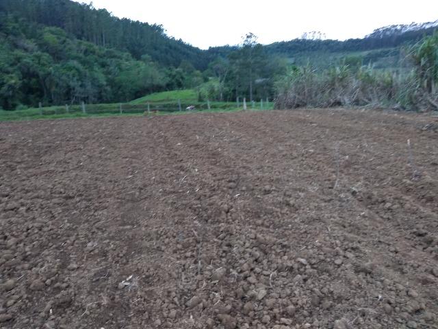 Sitio Palmital Taió-SC 4 hectares - Foto 2