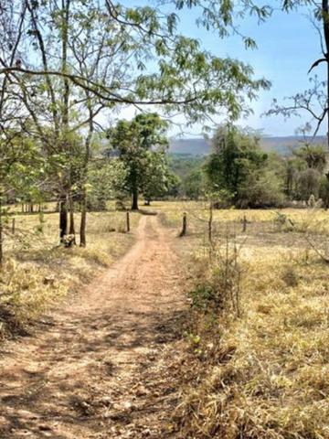 Fazenda em Piracanjuba 13 alqueires - Foto 3