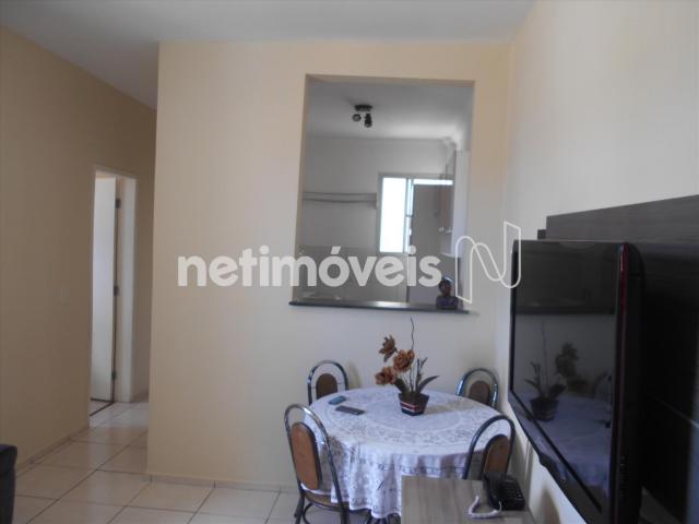 Apartamento à venda com 2 dormitórios em Nova baden, Betim cod:734163 - Foto 18
