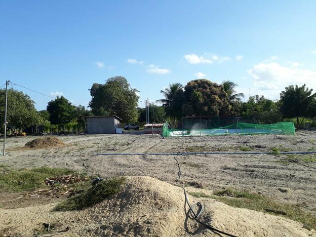 Granja estruturada em lagoa salgada 100% irrigada - Foto 13