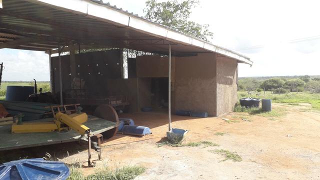 Fazenda em Iaçu-Ba - Foto 6