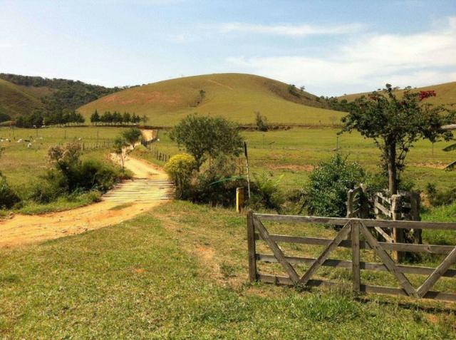 Oportunidade única!!! Fazenda documentada - Cód 1505 - Foto 15