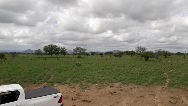 Fazenda em Iaçu-Ba - Foto 12