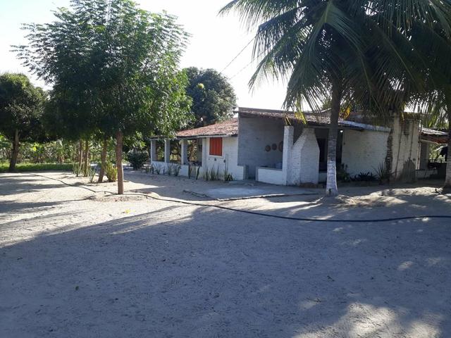 Granja estruturada em lagoa salgada 100% irrigada - Foto 10