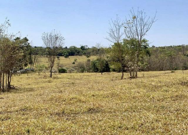 Fazenda em Piracanjuba 13 alqueires - Foto 4