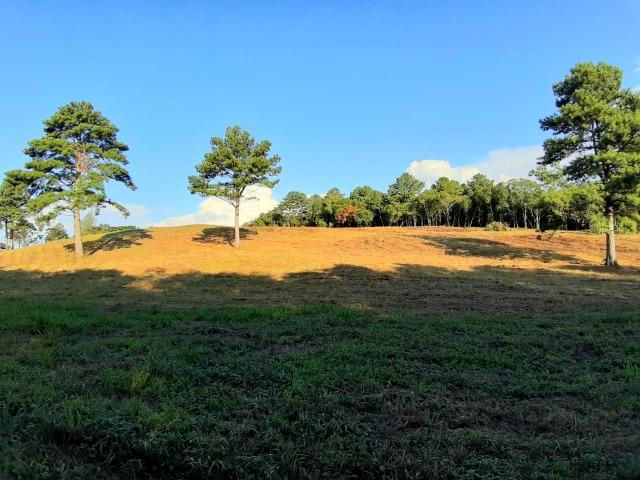Chácara em Fazenda Souza