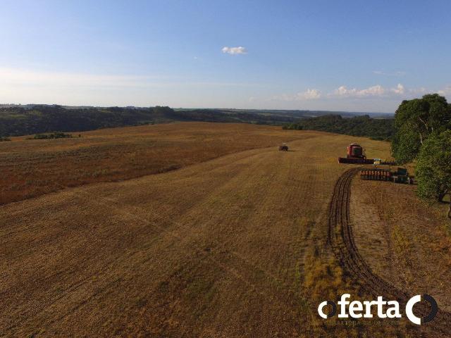 Fazenda com 54 alqueires em Mariental, na Lapa - Foto 14