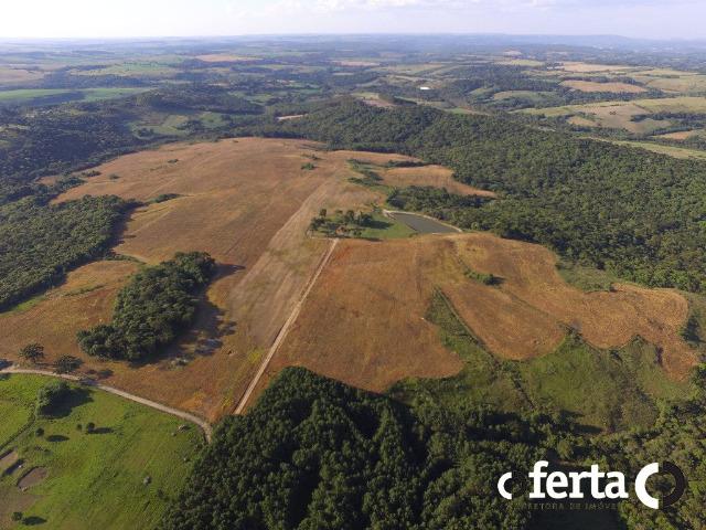 Fazenda com 54 alqueires em Mariental, na Lapa - Foto 3