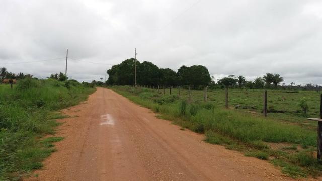 Fazenda - Porto Belo Linha 120 - 900 hectares - Foto 14