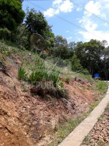 Sítio à venda em Centro, Flores da cunha cod:RP141 - Foto 4