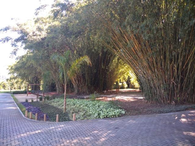 Cachoeiras de Macacu - Foto 3