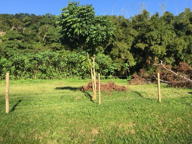 Bon: 2269 Serra do Mato Grosso - Saquarema - Foto 12