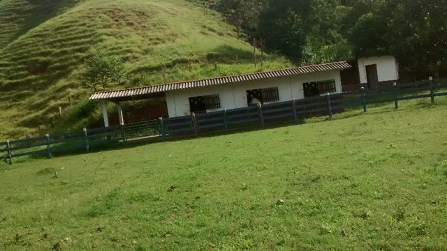 Fazenda 97 alqueires cariacica - Foto 5