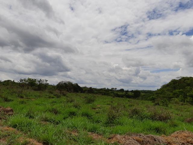 Financiamento Próprio SEM Entrada | Terreno De 20.000m2 | Oportunidade | AGT - Foto 5