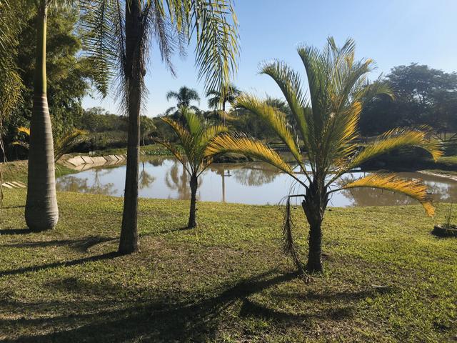 Sitio em Nova Santa Rita - Foto 7