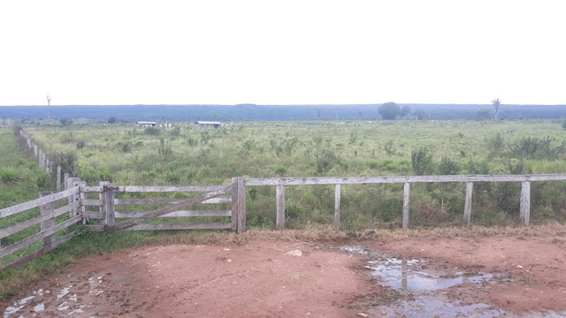 Fazenda 14.364 hectares em Alta Floresta-MT - Foto 5