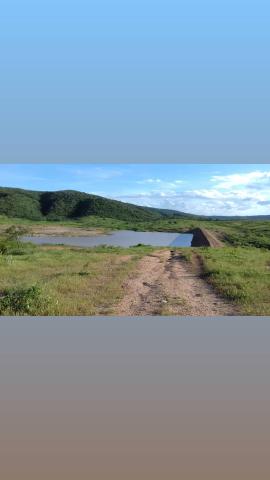 Fazenda com 150 hectares em cachoeira do sapo na br 304 zap. * - Foto 3
