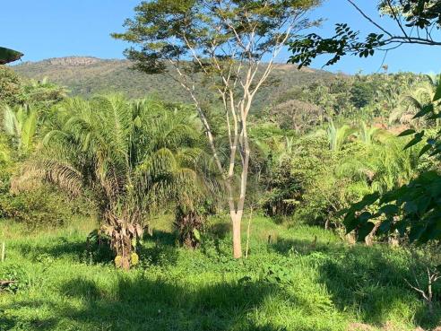 Sítio 26 hectares região da serra são vicente - Foto 18