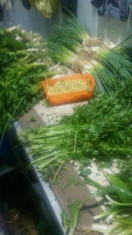 Cheiro verde pra revenda.mercadinho.restaurante e distribuição - Foto 2